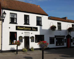 Hotel Hawthorns (Glastonbury, United Kingdom)