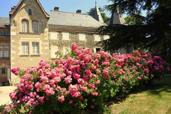Chateau De Varambon