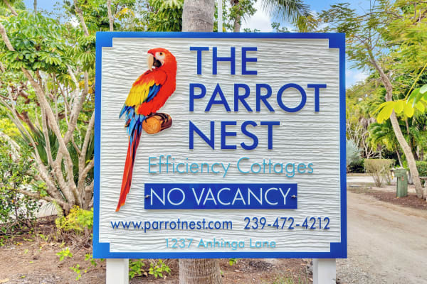 The Parrot Nest